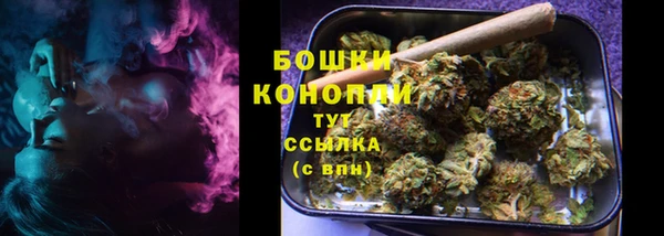 СК Аркадак