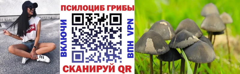 Псилоцибиновые грибы мицелий  Миллерово 